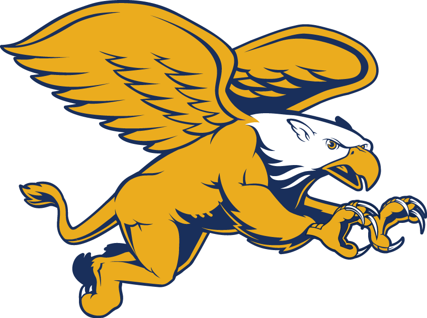 Canisius Golden Griffins 2006-Pres Secondary Logo v2 iron on transfers for T-shirts